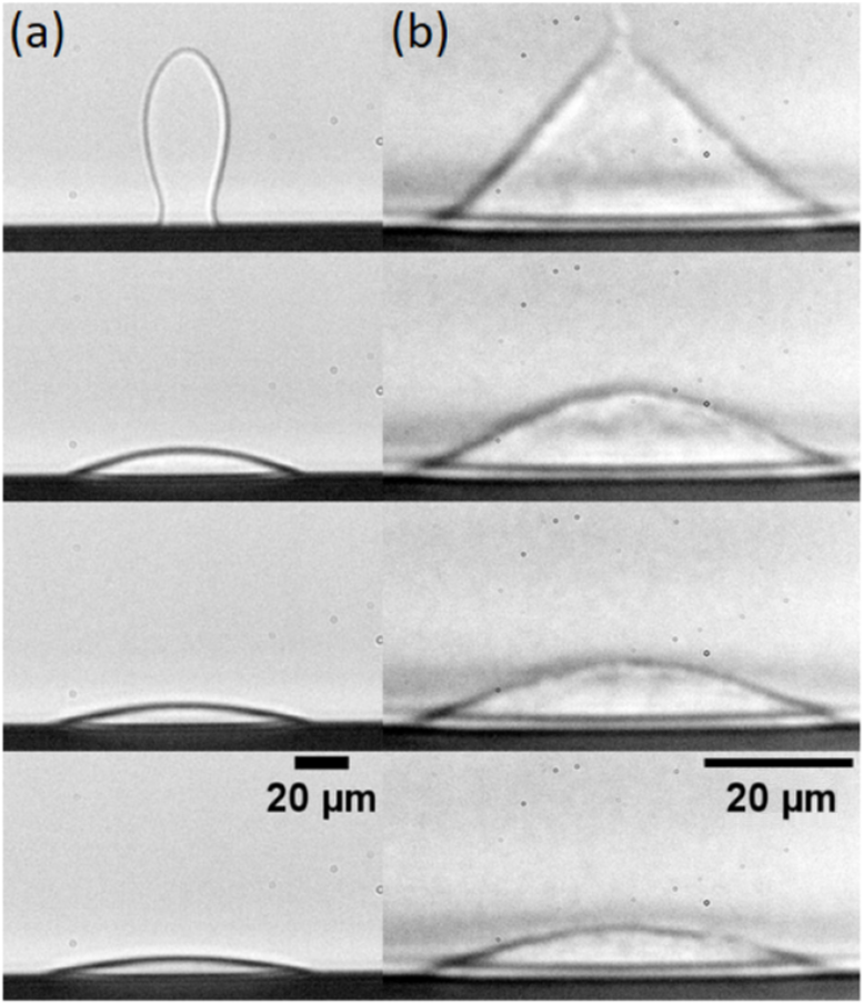 Après une calibration loin du point critique (panneau a de la figure, temps croissant de haut en bas), les scientifiques ont étudié le comportement d’une goutelette proche du point critique (panneau b de la figure, temps croissant de haut en bas). L’augmentation des fluctuations dans ce dernier cas est responsable de l’aspect imprécis de l’interface qui sépare les deux liquides.). Crédit : LOMA (CNRS/Université de Bordeaux).