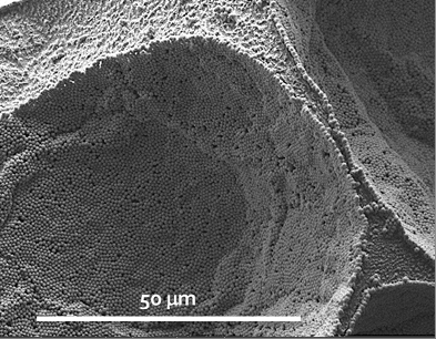Image par microscopie électronique à balayage d’une capsule de billes de verres ouverte montrant l’assemblage des billes de verre nanométriques. L’expérience a lieu à basse température (cryomicroscopie) pour ne pas détruire la capsule avec le faisceau d’électrons.