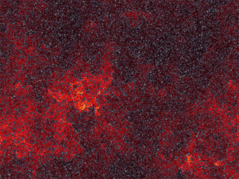 Simulation numérique de la fonction d’onde de de Broglie d’une particule quantique placée dans un potentiel optique désordonné (« speckle »).  Crédit : D. Delande, LKB (2016) (auteur et propriétaire)