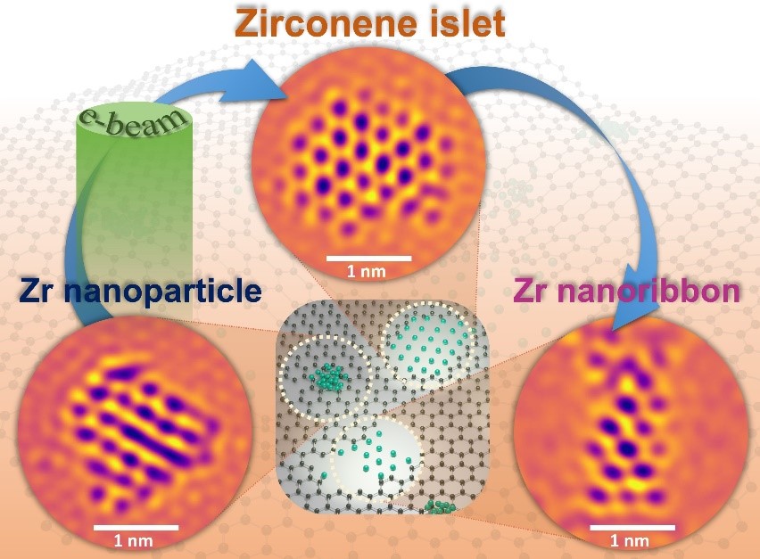 Un faisceau d’électrons focalisé décompose un composé contenant du zirconium en atomes individuels, qui s’agrègent en nanoparticules de zirconium. Sous irradiation continue, ces nanoparticules gravent le graphène situé en dessous, formant des pores directement sous elles. Ce processus provoque une transition vers une structure bidimensionnelle confinée dans les pores du graphène : les îlots de zirconène, des feuillets atomiquement fins constitués d’une seule couche d’atomes de zirconium. Ces îlots sont temporaires et évoluent ensuite en nanorubans étroits.