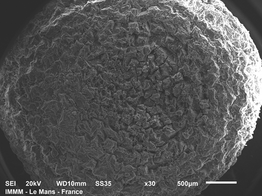 Image MEB d'un granulé industriel en PP après vieillissement accéléré sous spectre solaire, Esther Nonnonhou, IMMM UMR CNRS 6283, Le Mans Université.