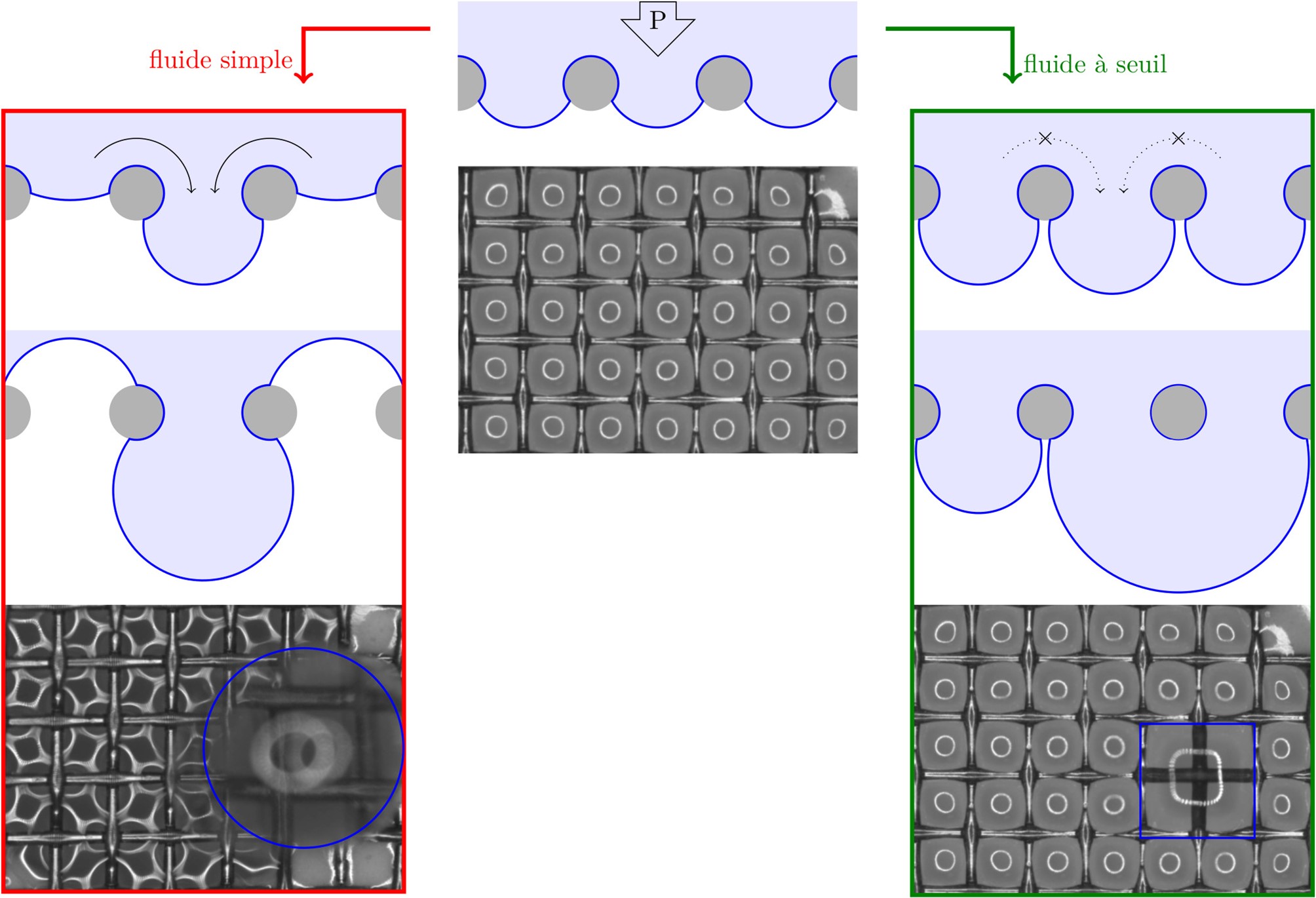 Schéma vu de profil et image microscopique vue de face de l’imbibition forcée d’un maillage hydrophobe. Atteindre la pression de passage mène à une situation a priori instable où la première goutte qui passe aspire toutes les autres (encadré en rouge). La présence d’une contrainte seuil apporte une stabilité et donc un passage homogène (encadré en vert) qui permet la coalescence des gouttes de fluide au-delà du maillage. 