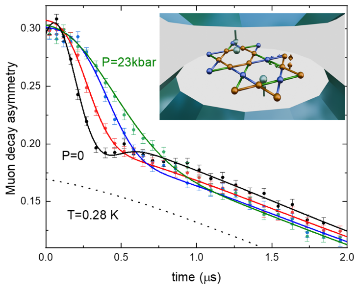 Figure : Relaxation de spin de muons pour diff&eacute;rentes pressions appliqu&eacute;es &agrave; l&rsquo;&eacute;chantillon. L&rsquo;oscillation observ&eacute;e &agrave; pression ambiante (P = 0), qui t&eacute;moigne d&rsquo;un &eacute;tat fondamental magn&eacute;tiquement ordonn&eacute;, dispara&icirc;t &agrave; plus haute pression pour laisser place &agrave; une relaxation monotone (P = 23 kbar), r&eacute;v&eacute;latrice de spins fluctuants. La ligne pointill&eacute;e repr&eacute;sente la contribution de la cellule de pression. Insert : Sch&eacute;ma du r&eacute;seau magn&eacute;tique kagome de Y-kapellasite dans l&rsquo;enclume utilis&eacute;e pour les exp&eacute;riences compl&eacute;mentaires de diffraction des rayons X.