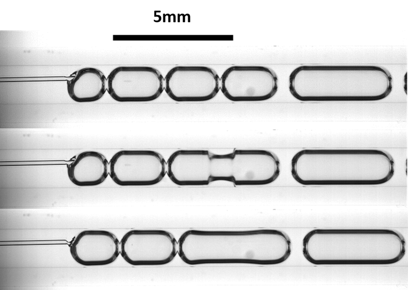 Train de bulles form&eacute;es dans un tube rempli d&rsquo;un m&eacute;lange de liquides. Les bulles sont en contact et fusionnent au bout d&rsquo;un temps bien d&eacute;termin&eacute;.