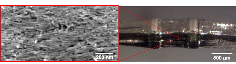 vue au microscope des bâtonnets de cobalt