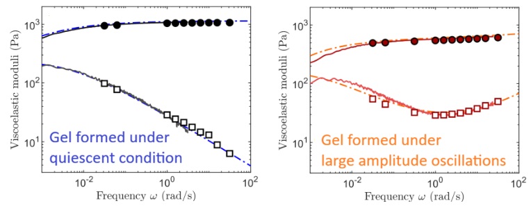 Courbes comparant la viscosit&eacute; en fonction de la fr&eacute;quence d'oscillation de deux gels : un gel form&eacute; sous conditions calmes et un gel form&eacute; subissant des amplitudes d'amplitude large