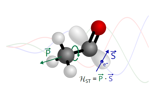 Spin-torsion coupling