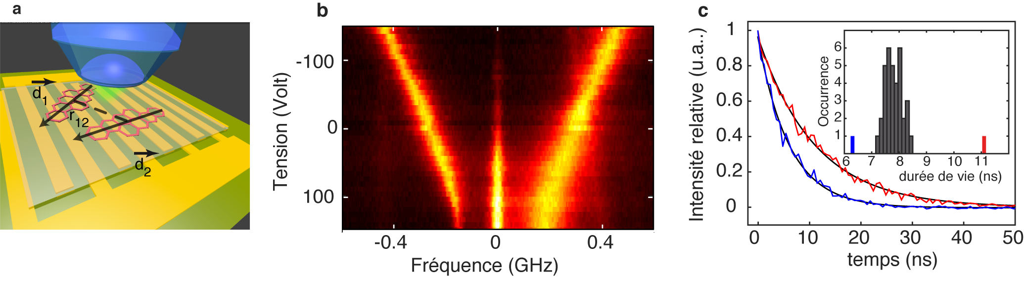 (a) Un cristal de naphtalène dopé en molécules de dibenzenthanthrène est placé dans un cryostat sous un objectif de microscope et au-dessus d'un peigne d'électrodes.  (b) Anti-croisement des niveaux électroniques de deux molécules couplées. Le degré d’intrication devient maximal pour une tension électrique de 150 Volts : la résonance de haute énergie (état superradiant) s’élargit tandis que celle de basse énergie (état subradiant) s’affine et s’affaiblit en intensité de fluorescence. Au centre, la transition à deux photons vers l’état où les deux molécules sont excitées apparaît concomitamment.  (c) La différence entre les durées de vie radiatives des états superradiant et subradiant (déclins de fluorescence en bleu et rouge, respectivement) est marquée par rapport à la durée de vie moyenne des molécules isolées (histogramme en gris). Crédit : Jean-Baptiste Trebbia (LP2N)