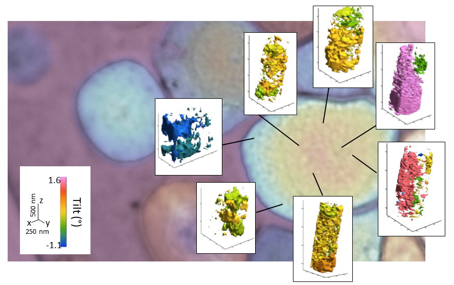 Illustration d'une ptychographie de Bragg