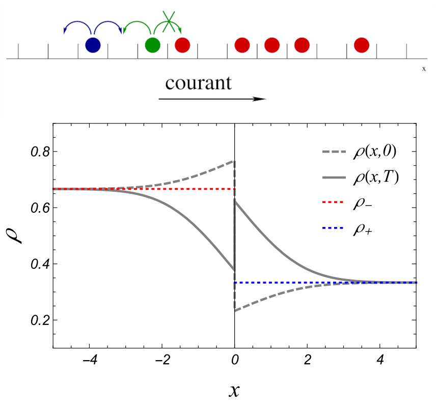 En haut : Schéma de principe du modèle d’exclusion symétrique. Les particules essaient de sauter sur un site voisin choisi au hasard, mais ne concrétisent ce mouvement que si le site cible est vide : la particule bleue a autant de chance de sauter à gauche ou à droite, mais la particule verte ne peut sauter que vers la gauche. En bas : Évolution du profil de densité d’un fluide loin de l’équilibre qui produit un courant macroscopique donné. Afin d’optimiser le flux transmis, cette densité adopte une forme d’onde de choc qui s’inverse du temps initial t = 0 au temps final t = T. Les pointillés représentent les densités asymptotiques à l’infini ρ + et ρ −.
