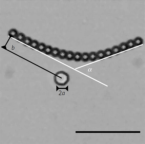 Image retirée.