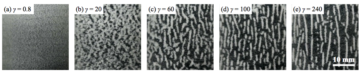 figure 1 manneville2019