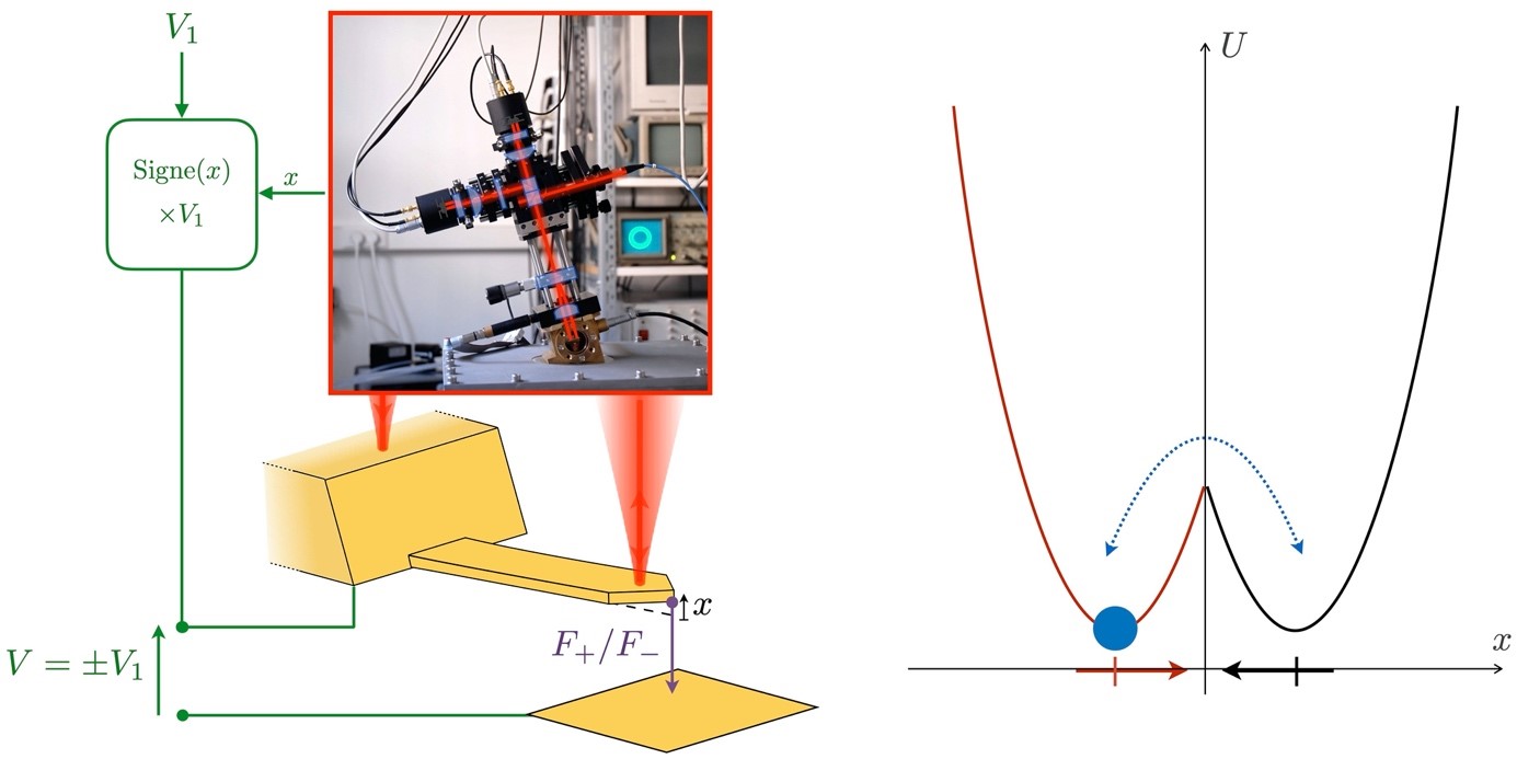 On mesure avec une précision du picomètre la déflexion x d’un levier conducteur à l’aide d’un interféromètre différentiel à quadrature de phase (photographie). Une boucle de rétroaction rapide (en vert) basée sur un comparateur impose au levier une force électrostatique F prenant deux valeur (F+ ou F-) selon le signe de x. On crée un double puit d’énergie potentielle, U(x), que l’on peut moduler à souhait via l’amplitude de la force. Effacer l’information (le signe de x) consiste à mettre en place une procédure pour amener le système dans le puits de gauche, quelle que soit sa position initiale.