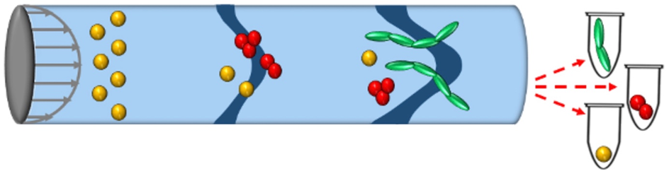-	Plateforme de caractérisation développée dans le projet. Des suspensions complexes d'entités microscopiques (molécules, protéines, nanoparticules, oligomères, polymères, etc.) sont advectées, diffusent ou réagissent chimiquement, dans une puce microfluidique alimentée via un réservoir sélectionné par un bras à seringue automatisé. L'absorption lumineuse couplée à des méthodes d'inférence statistique par apprentissage profond permet d'identifier de manière fiable les espèces impliquées et de reconstruire leurs distributions de taille dans le temps. 