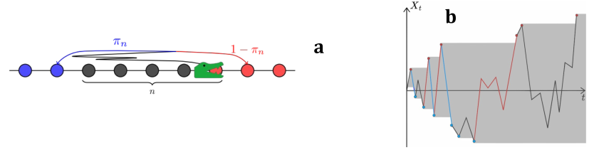 À gauche : Définition d’un flip. Le marcheur (représenté en crocodile vert) est en train de d’arriver sur un site non encore visité, dont il consomme immédiatement la nourriture (les sites dont la nourriture a déjà été consommée apparaissent en noir). À droite : Exemple de trajectoire en fonction du temps. Ces morceaux de trajectoire peuvent présenter de nombreux changements de direction à l’intérieur du territoire déjà visité.