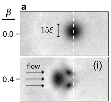 Obstacle optique dans un flux de lumi&egrave;re superfluide.