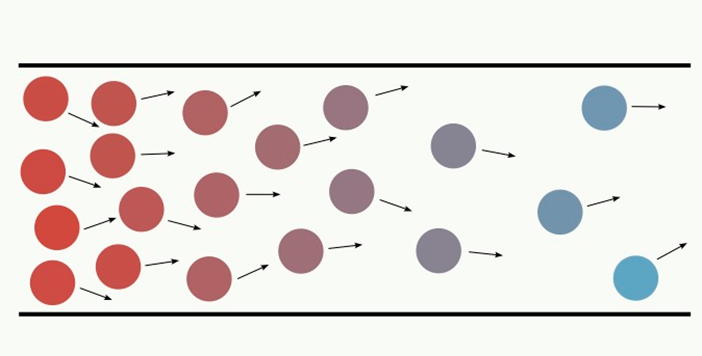 dans un canal, une population dense (rouge) se propage vers une zone diluée (bleu). 