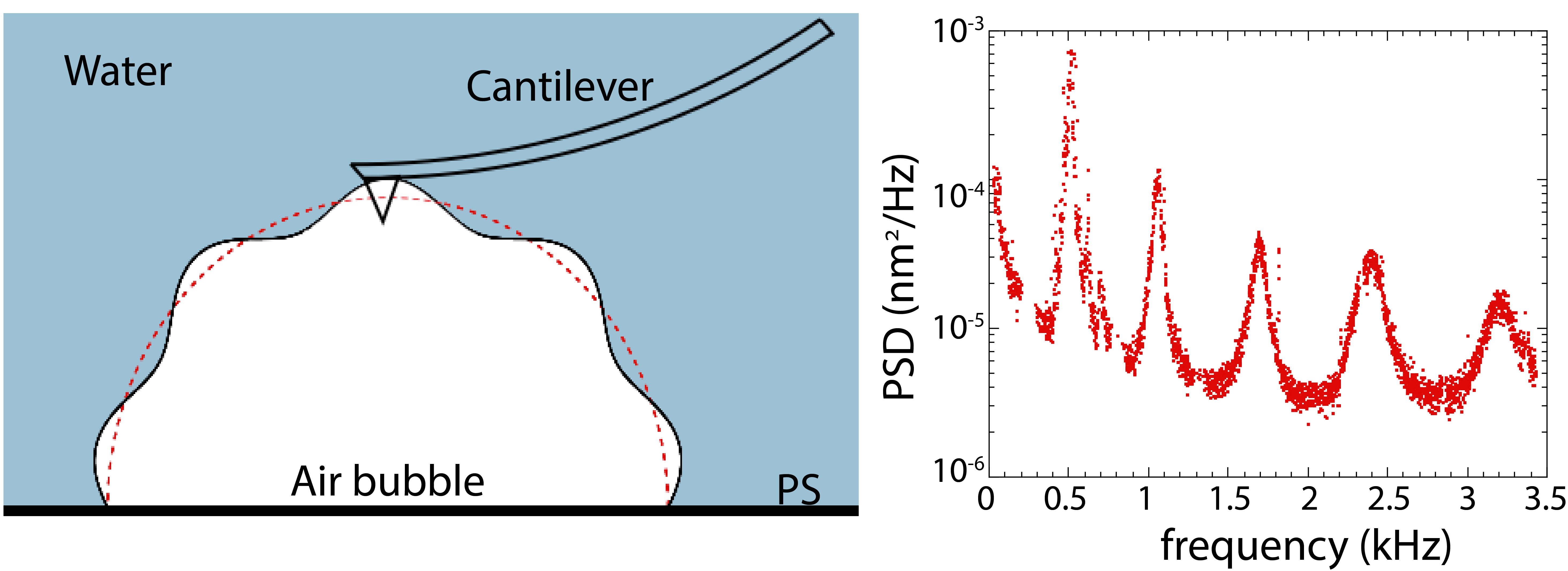 Figure : à gauche, dispositif expérimental : le microlevier du microscope à force atomique suit la trace de l'interface air-eau sculptée par les ondes thermiques. A droite, densité spectrale en fonction de la fréquence des ondes thermiques montrant cinq résonances.