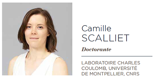Image retirée.