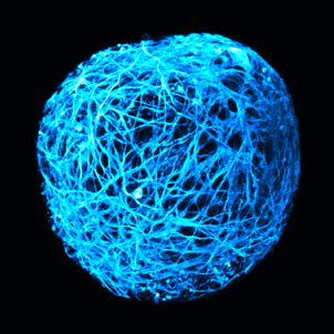 Image issue de recherches de scientifiques du GDR AQV.