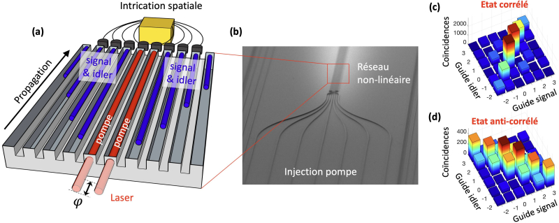 (a) Schéma et (b) image au microscope électronique à balayage d’un réseau de guides d’ondes non-linéaires. 