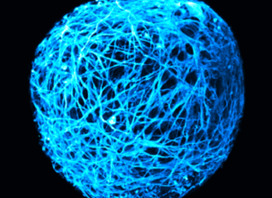 Image issue de recherches de scientifiques du GDR AQV.