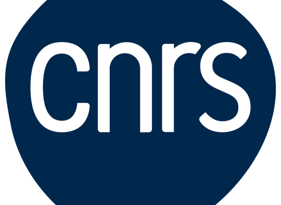 Logo CNRS