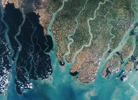 The Sentinel-2A satellite takes us over the very eastern part of the Sundarbans in Bangladesh, in this natural-colour image.