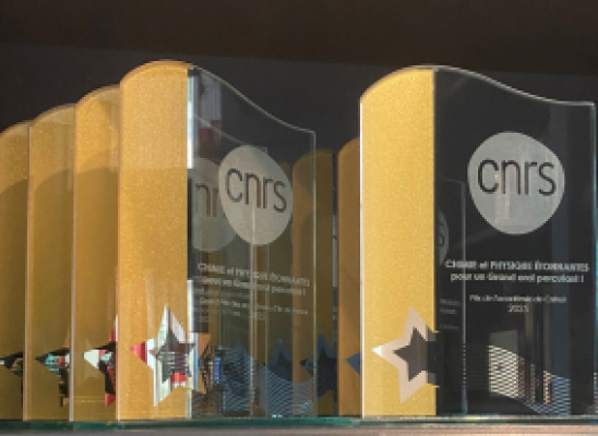Trophée "Chimie et Physique étonnantes pour un Grand oral percutant"