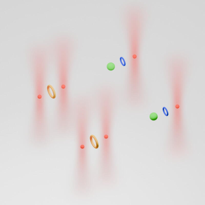 Des atomes de Rydberg circulaires (tores) organisés sous la forme d’un réseau servent de qubits.