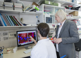Margaret Buckingham, biologiste du développement, médaille d'or 2013 du CNRS avec Nicolas Diguet, l'un de ses collaborateurs. Ils discutent autour de l'observation au microscope confocal de cardiomyocytes de nouveaux nés de rats. 
