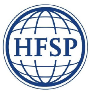 Logo HFSP