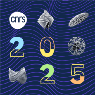 Vignette de carte des voeux 2025 du CNRS