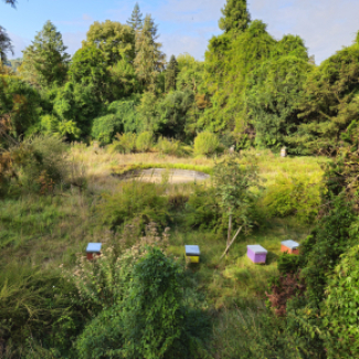 Photo du Campus CNRS à Gif-sur-Yvette. On y aperçoit des ruches.