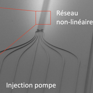 (a) Schéma et (b) image au microscope électronique à balayage d’un réseau de guides d’ondes non-linéaires. 