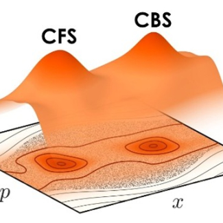 Visualisation des pics de diffusion cohérente vers l’avant (CFS) et de rétrodiffusion cohérente (CBS) mesurés sur l’onde de matière à une dimension (axe x).