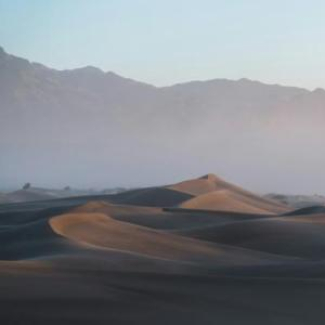 Dunes de sable
