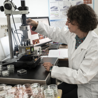 Atomic force microscope for high-resolution visualization of biological sample surfaces.