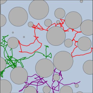 Simulations de trajectoires bactériennes dans trois structures poreuses
