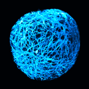 Image issue de recherches de scientifiques du GDR AQV.