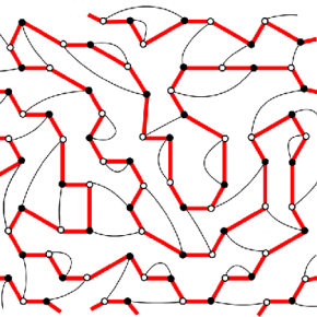 Portions de chemin hamiltonien sur le réseau bicubique aléatoire 