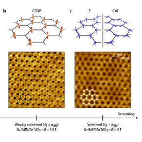 Schéma et images de plusieurs phases magnétiques observées pour des degrés d'écrantage des interactions électroniques croissants et pour différentes intensités du champ magnétique (14 T ou 4 T). Le graphène repose sur une couche de nitrure de bore hexagonal (hBN), le tout sur un substrat de SiO2 (a) ou de SrTiO3 (b-c). C'est la différence de constante diélectrique entre les substrats et l'épaisseur de la couche de hBN qui permettent de moduler l'écrantage.