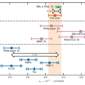 Comparaison de la mesure actuelle du moment magnétique anormal du muon (triangle vert, avec barres d’erreur horizontales) avec diverses prédictions du modèle standard.
