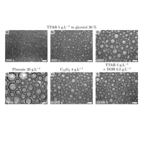 Figure : Évolution de la taille des bulles dans une mousse humide observée à bord de la Station Spatiale Internationale. Les bulles grossissent au fil du temps, selon une loi dépendant du tensioactif utilisé.