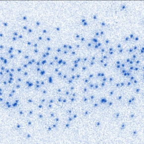 Image d'une configuration d’un gaz quantique fermionique.