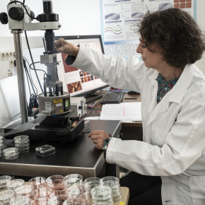 Atomic force microscope for high-resolution visualization of biological sample surfaces.