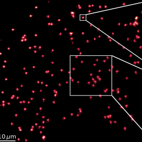 Image obtained with the LKB's quantum gas microscope. Each red dot corresponds to the fluorescence signal from a single lithium atom frozen in an optical lattice.
