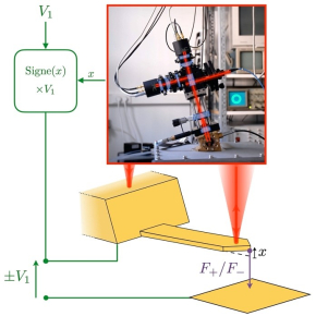 On mesure avec une précision du picomètre la déflexion x d’un levier conducteur à l’aide d’un interféromètre différentiel à quadrature de phase (photographie). Une boucle de rétroaction rapide (en vert) basée sur un comparateur impose au levier une force électrostatique F prenant deux valeur (F+ ou F-) selon le signe de x. 