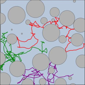 Simulations de trajectoires bactériennes dans trois structures poreuses